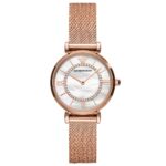 Emporio Armani Women's Watch AR11320