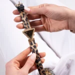 ⁦ساعة جيس للنساء GW0504L3⁩ - الصورة ⁦11⁩